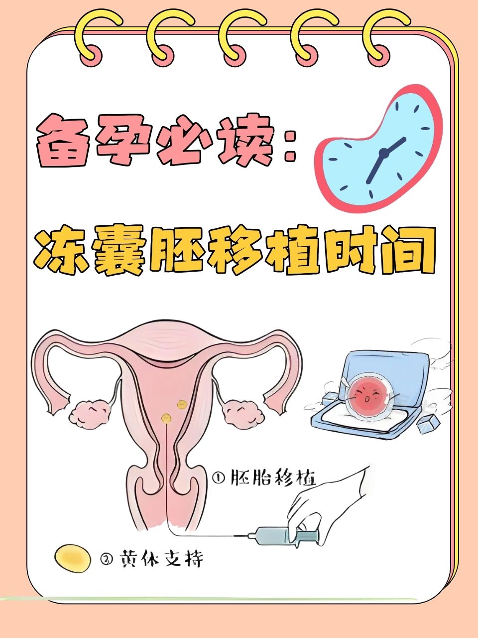 胚胎移植自然周期(胚胎移植自然周期后期用药多久)  第2张