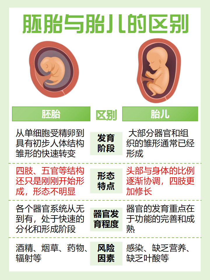 试管只有一个胚胎(试管只有一个胚胎,建议移植吗)