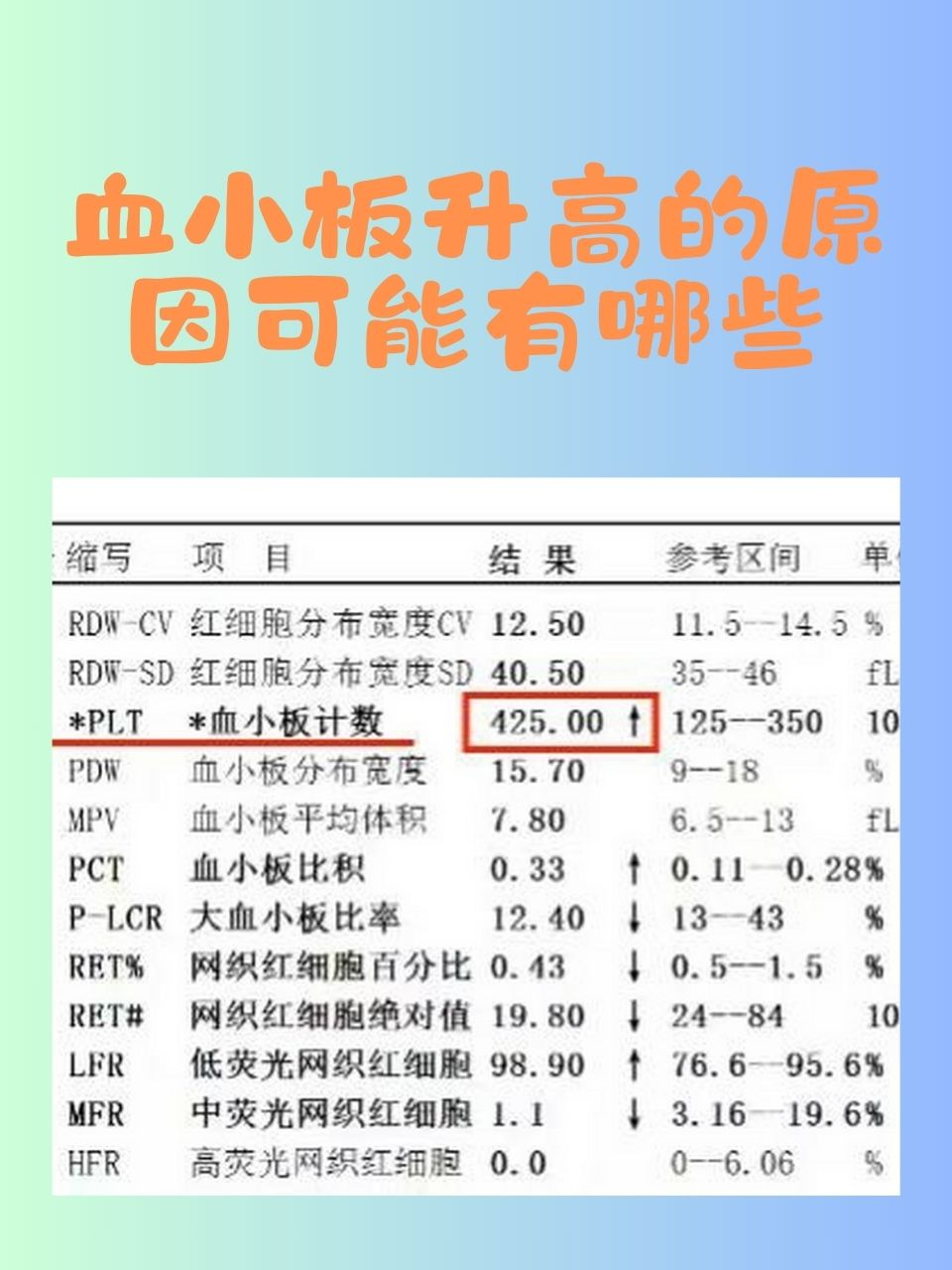 血小板手工计数图片