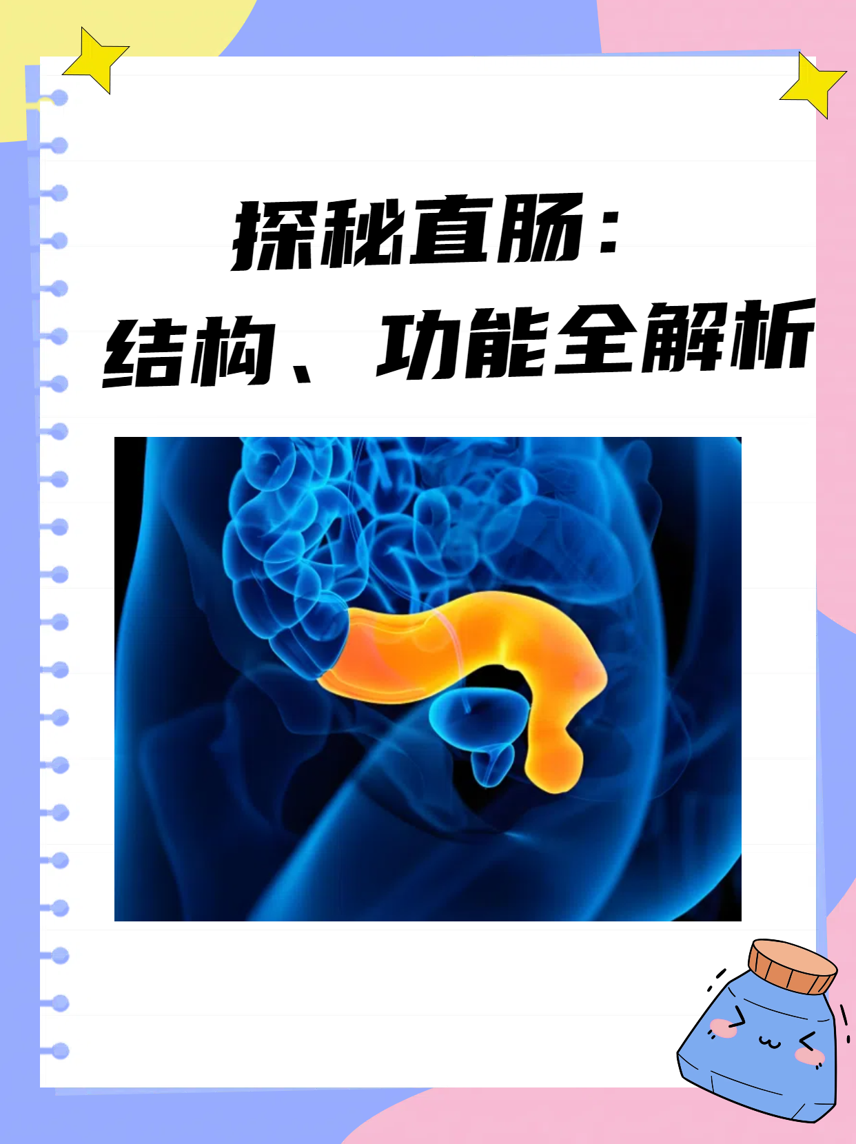探秘直肠:结构,功能全解析