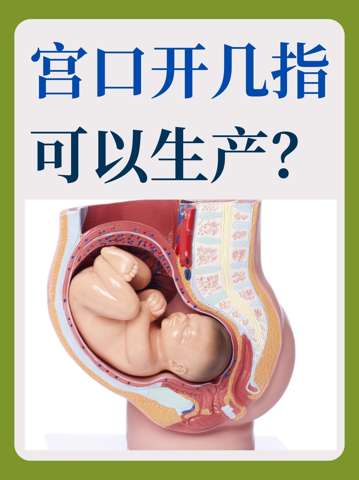 子宫女性生孩子图片