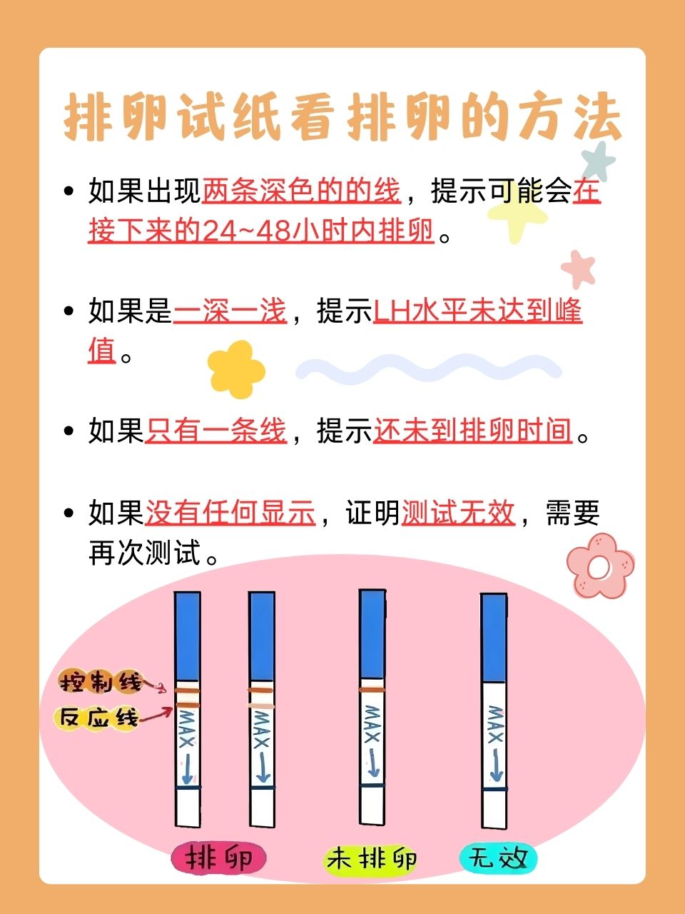 怎样确定已经排卵了