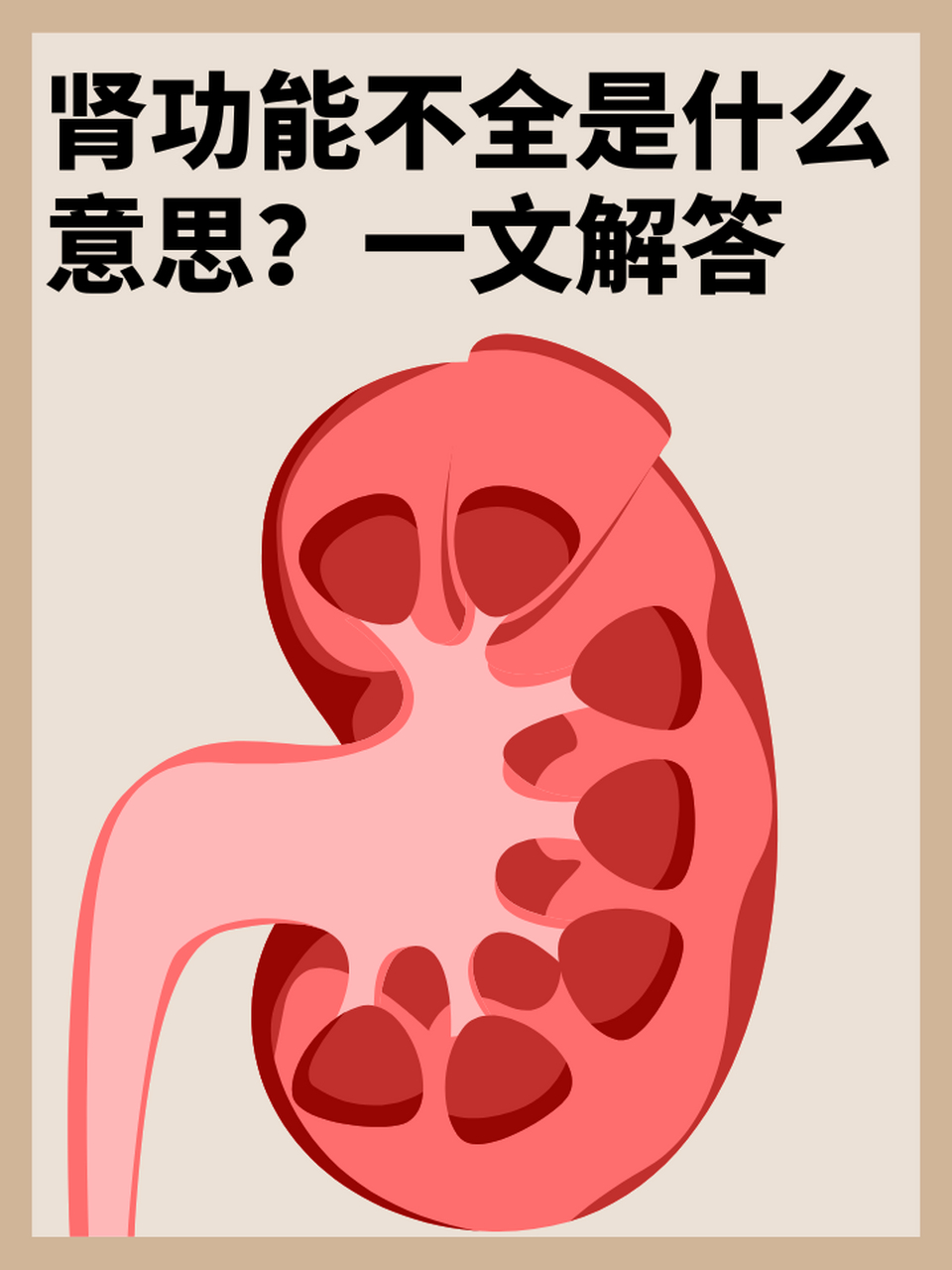 97肾功能不全是什么意思?