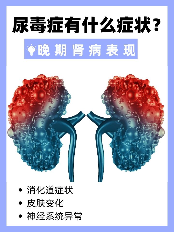 肾脏是维持人体正常运转的关键脏器,一旦肾脏疾病发展