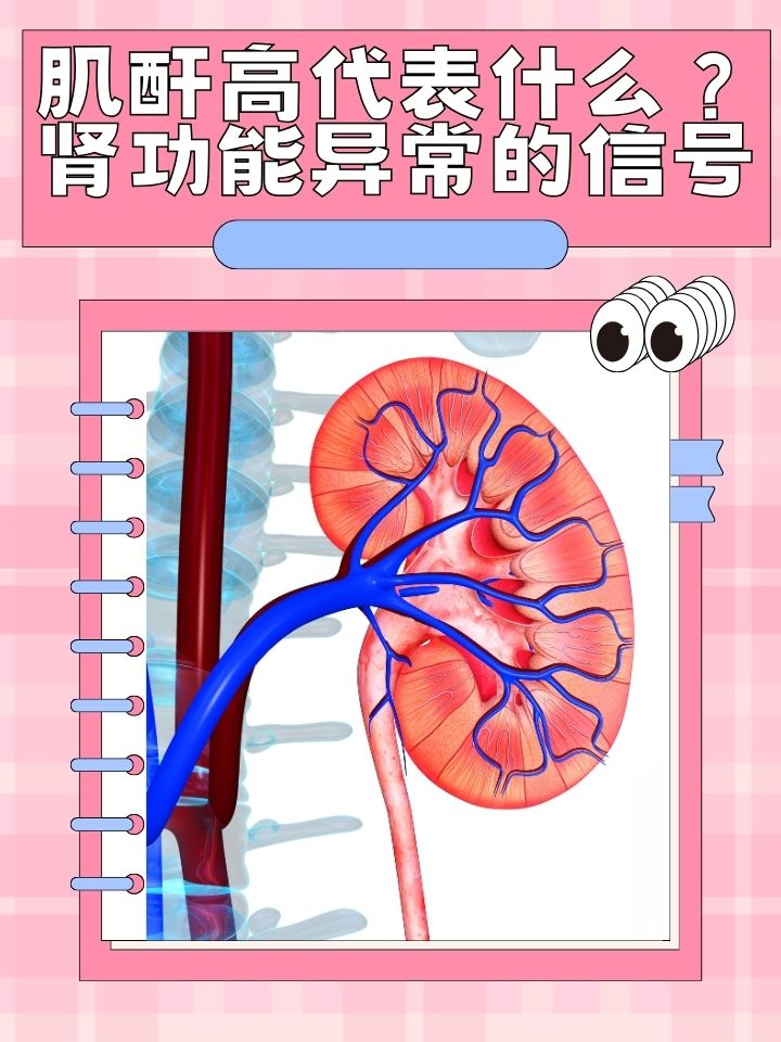 在健康体检中,肌酐是一项常见的血液检测指标