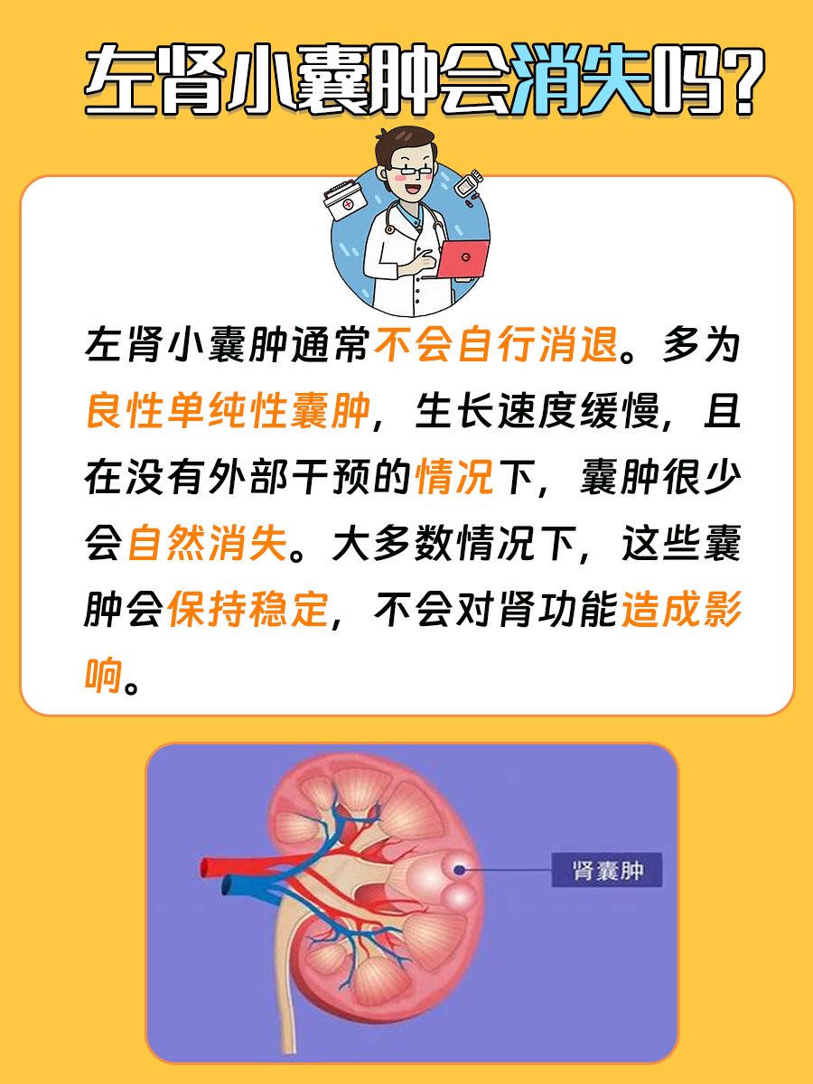 专家解析囊肿动态  左肾小囊肿是常见的肾脏异常之一,多数人在体检时