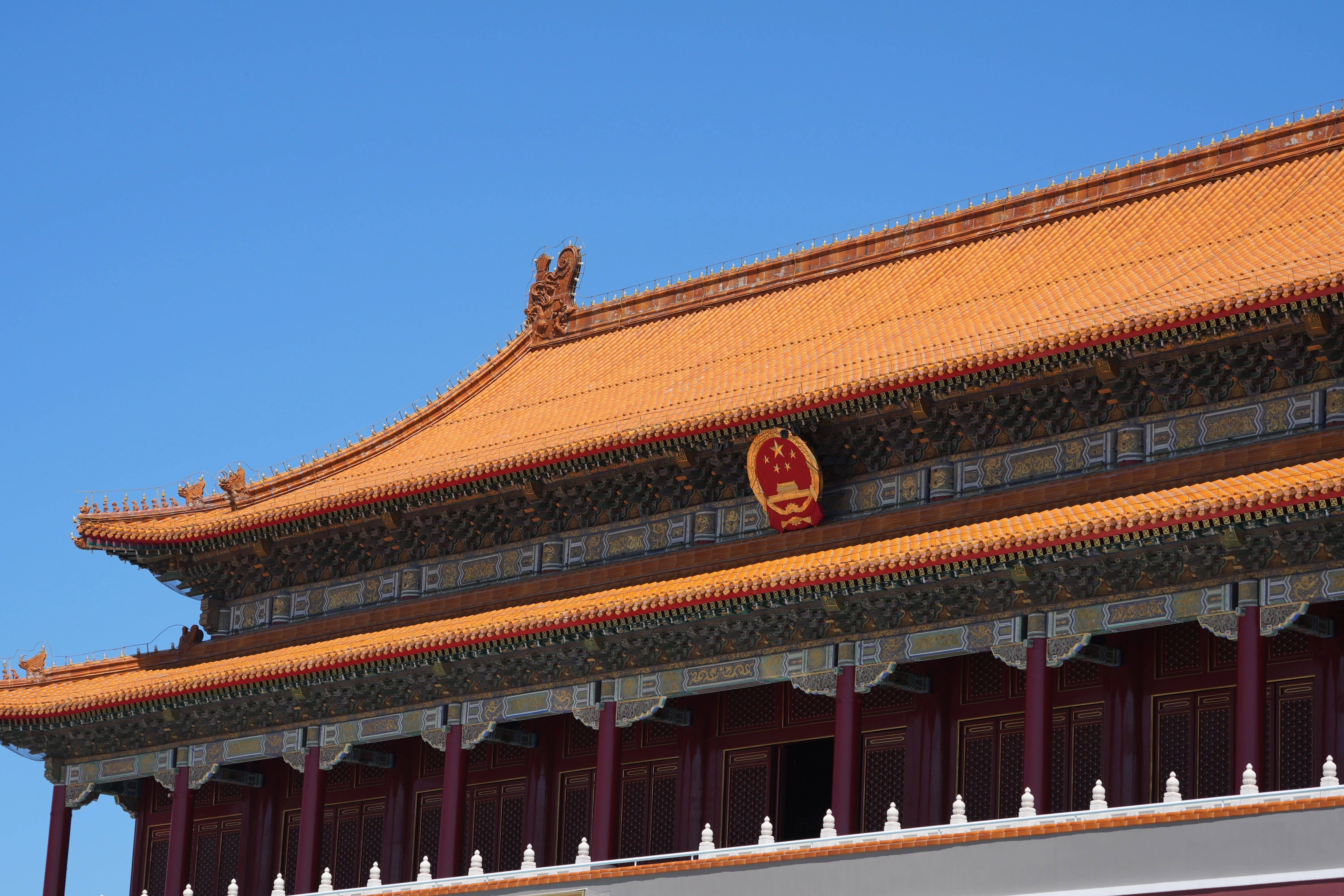 政府案例