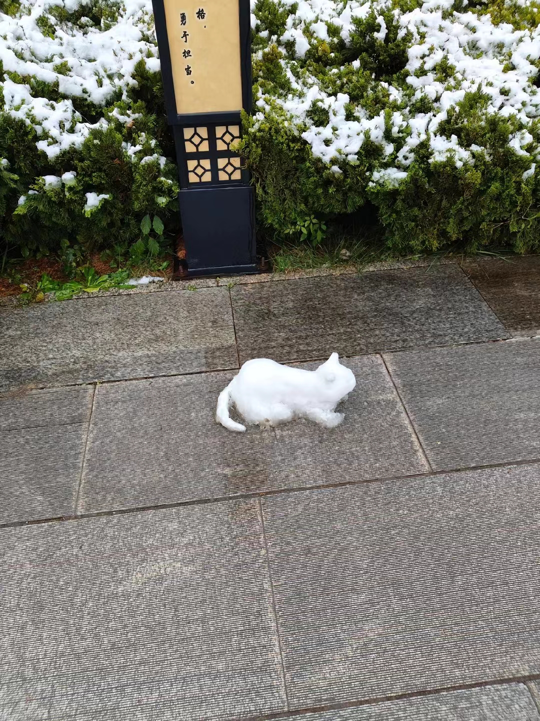 到底是谁堆的小雪猫啊像我这种眼神会一边逗着叫咪咪一边慢慢猥琐