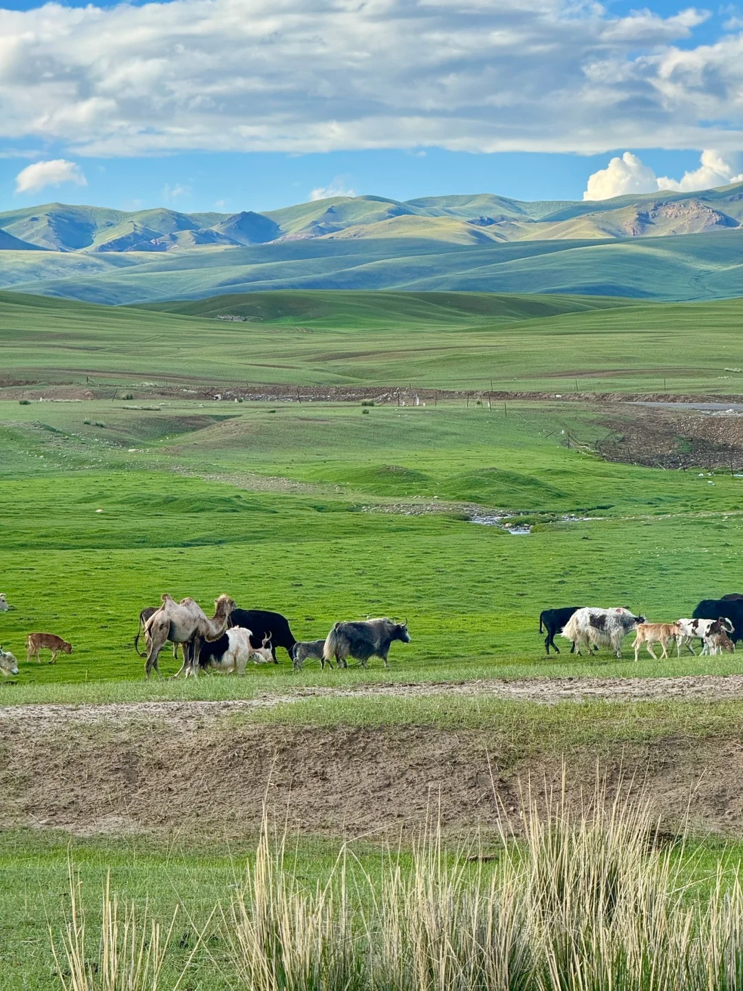 我与"九个太阳"的奇幻邂逅,所以我来到了这里,把攻略分享给大家! 一
