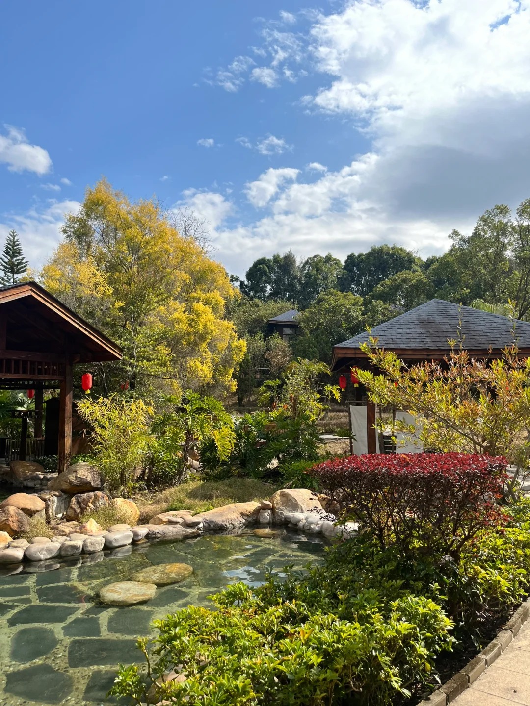 当身体沉入40℃的温泉,头顶是百年榕树洒下的光斑,耳边是鸟鸣与流水