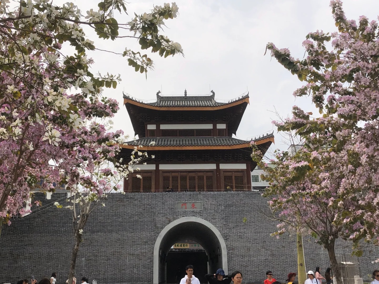 这个周末躲开了人挤人的景区 在河源鳄湖公园完成了我的"绿野仙踪"之