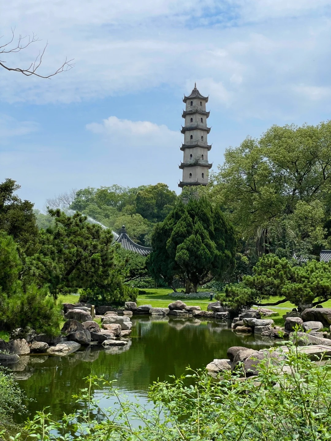 今天要给你们安利一个温州的宝藏岛屿