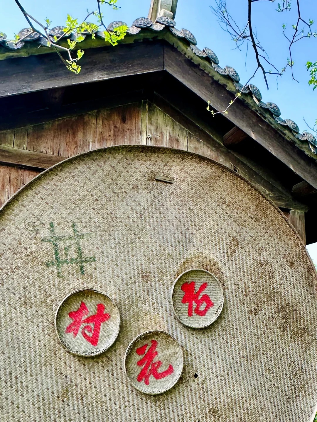 这次挖到了杜牧诗里的杏花村,简直美到窒息!