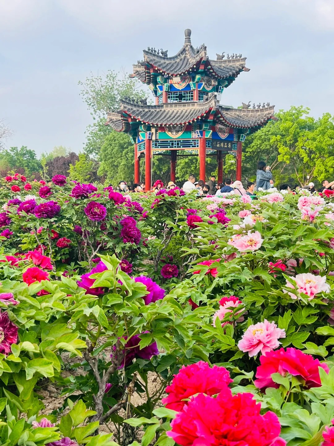 从菏泽回来