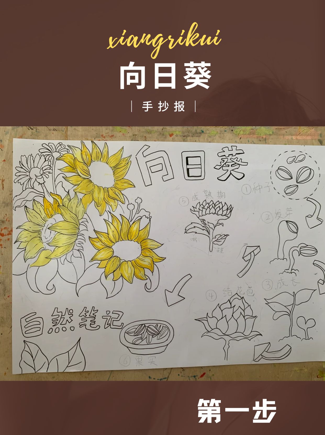 有宝子问向日葵手抄报,今天小编就为大家整理了哦,大家快来学习吧.