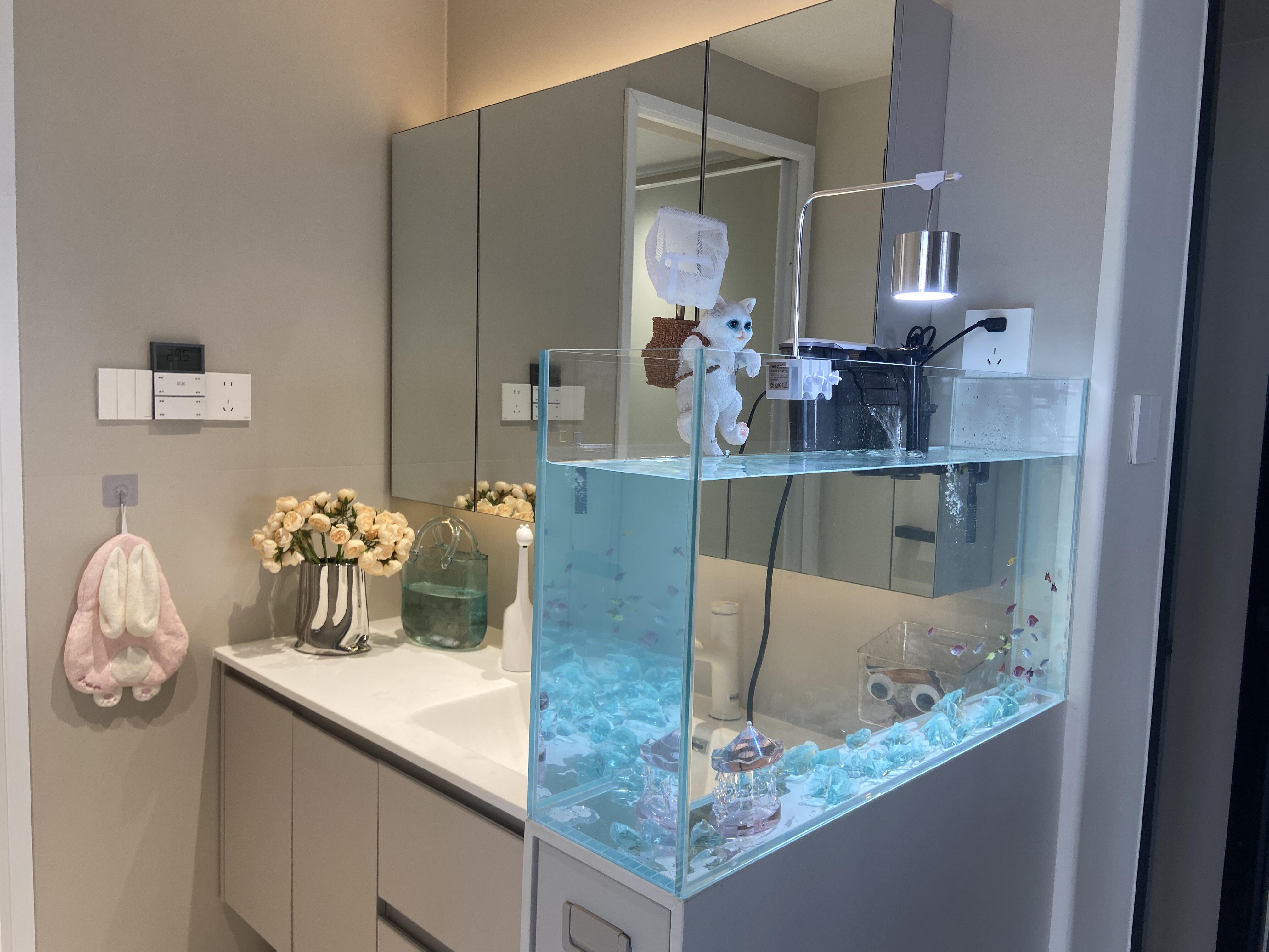 装修最满意的的就是卫生间鱼缸隔断设计了,从今天开始,我也是一个养鱼