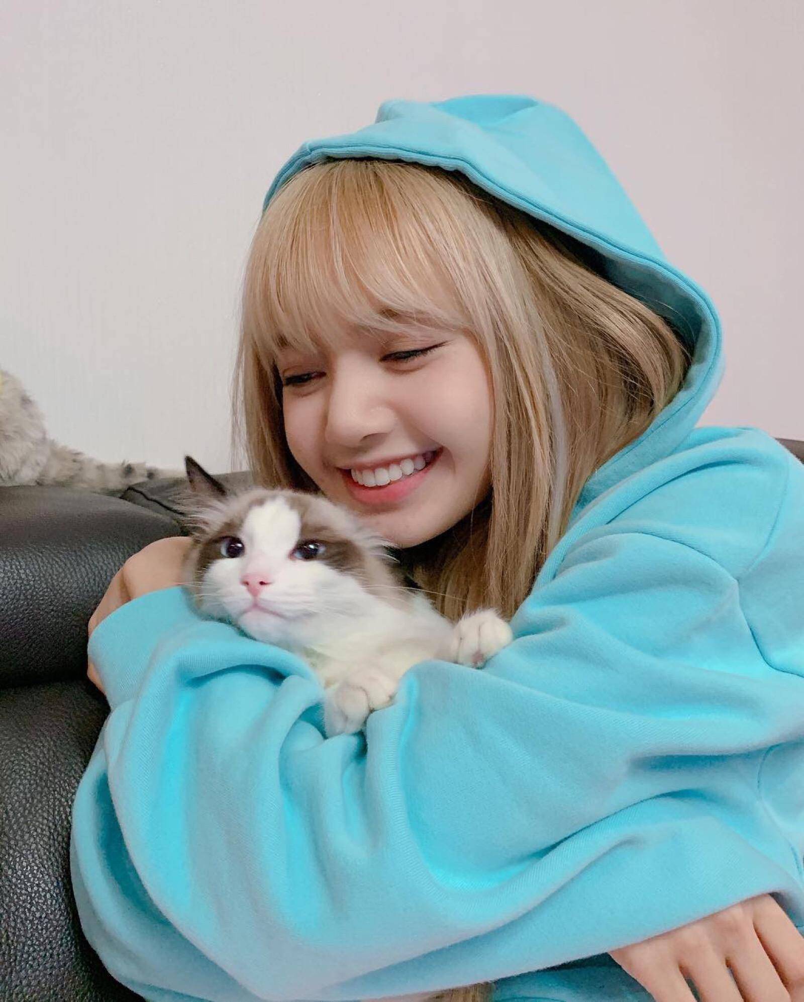 labubu 娃娃,可 lisa 却直接将其丢回台下lisa个人资料简介lisa生活照