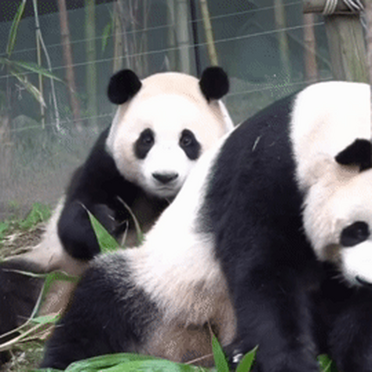 咱就是说,福宝和妈妈的有爱瞬间总是如此暖心.