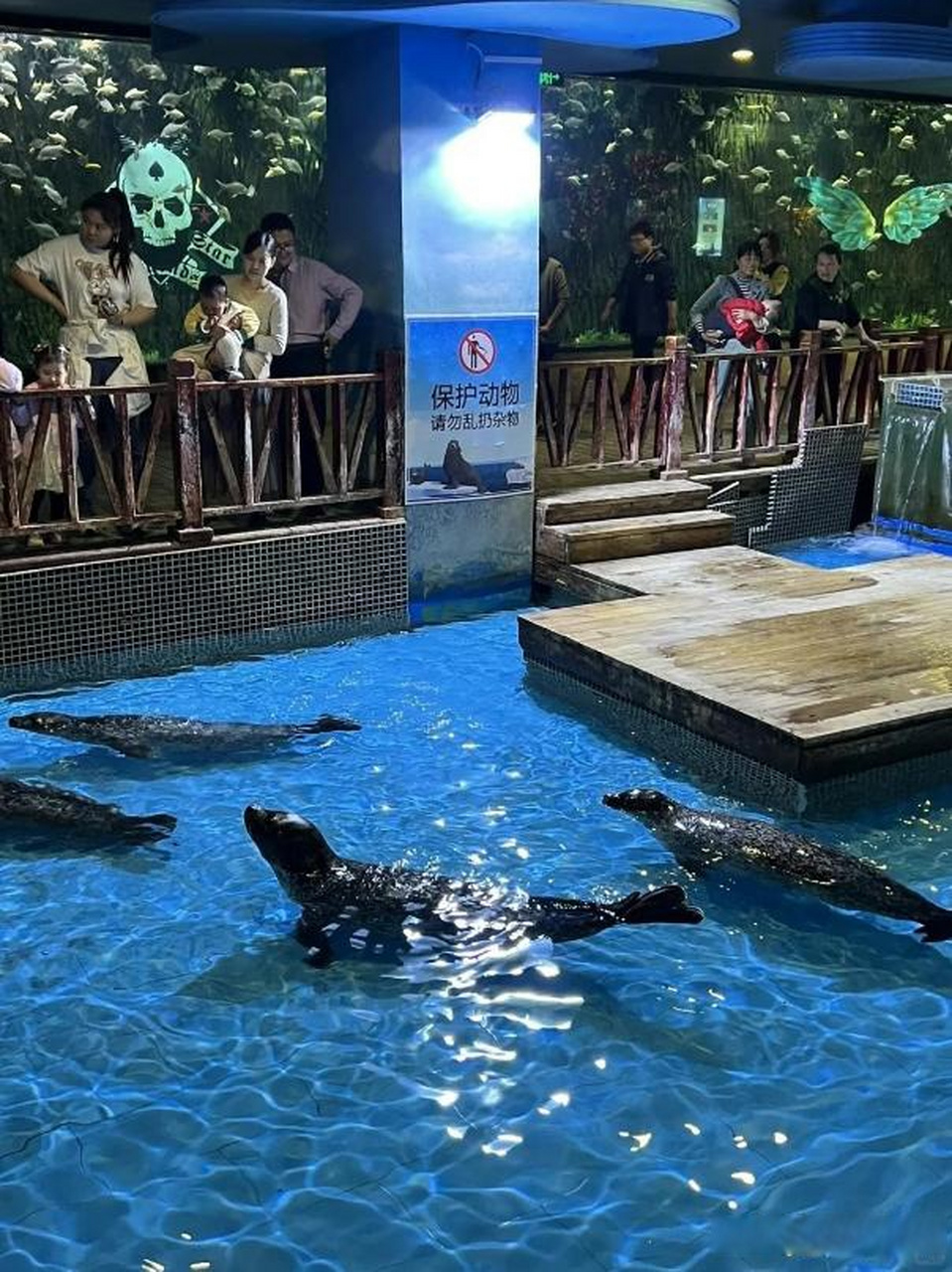 景色郑州海洋馆潜水多少钱一次郑州海洋馆,郑州海洋馆照片洛阳海洋馆