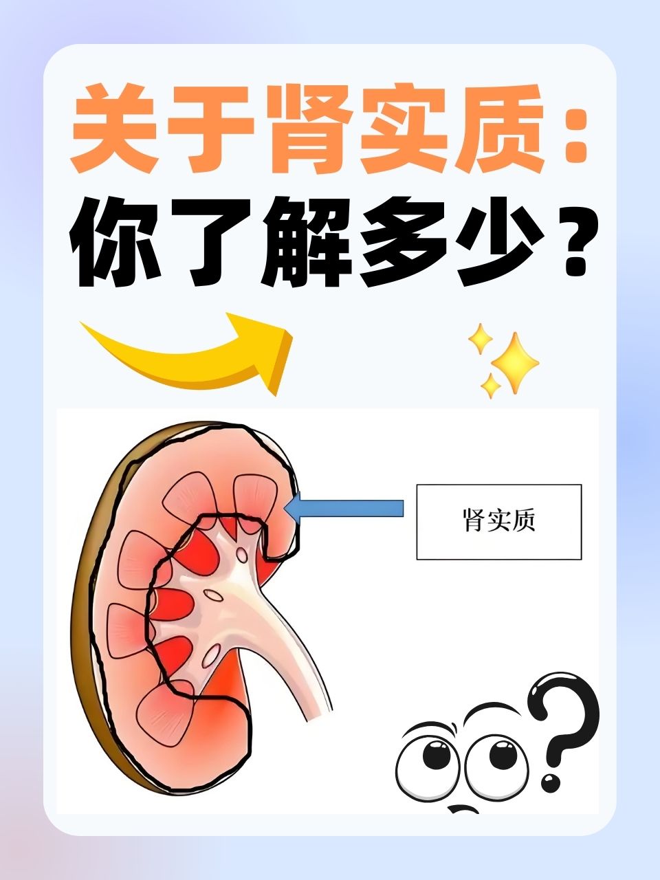那么,肾实质究竟是指什么呢?本文将为你详细解答