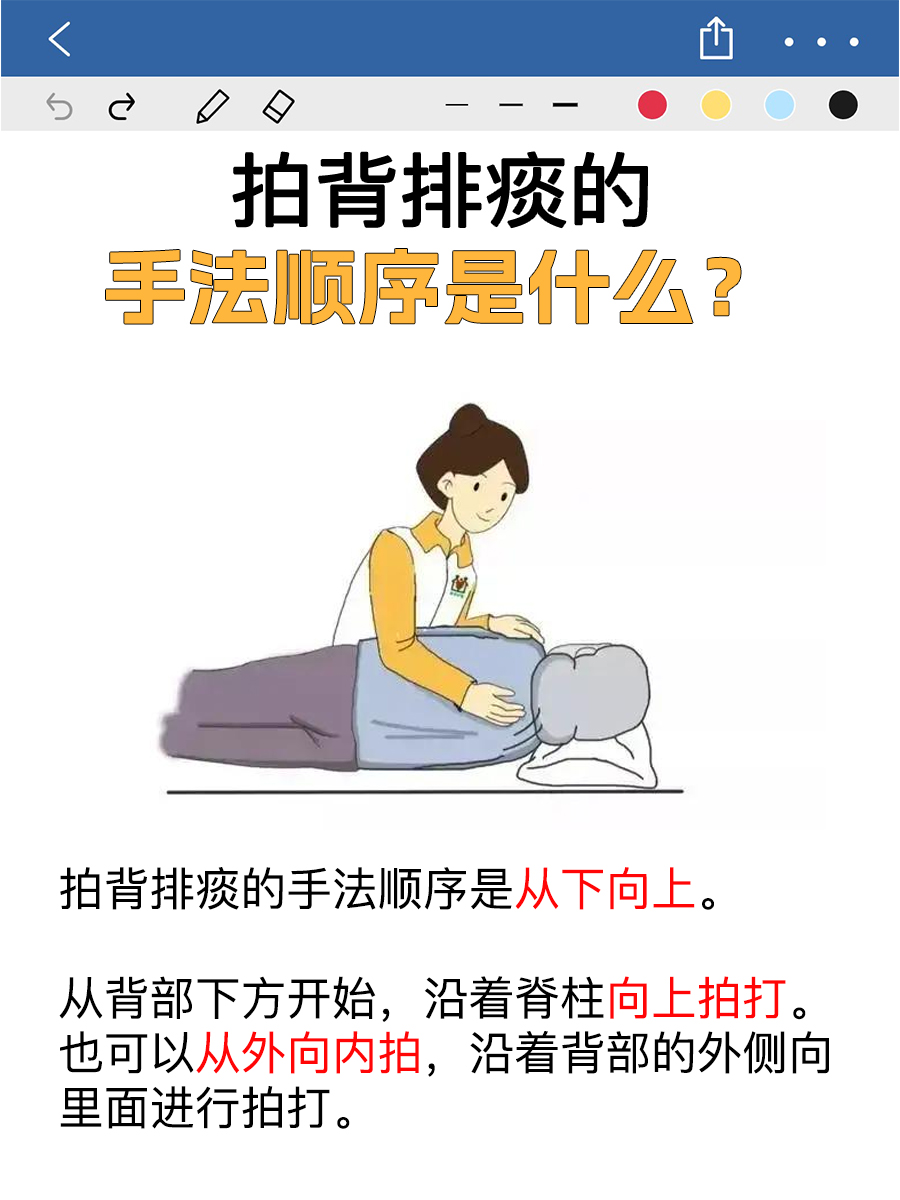 正确拍背排痰的区域
