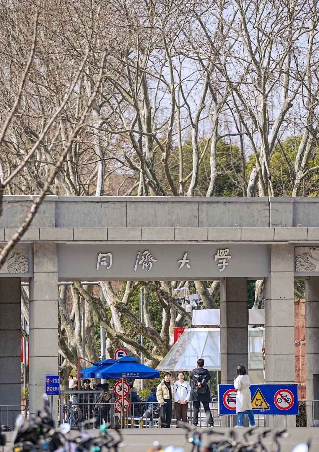 同济大学录取分数线2025年