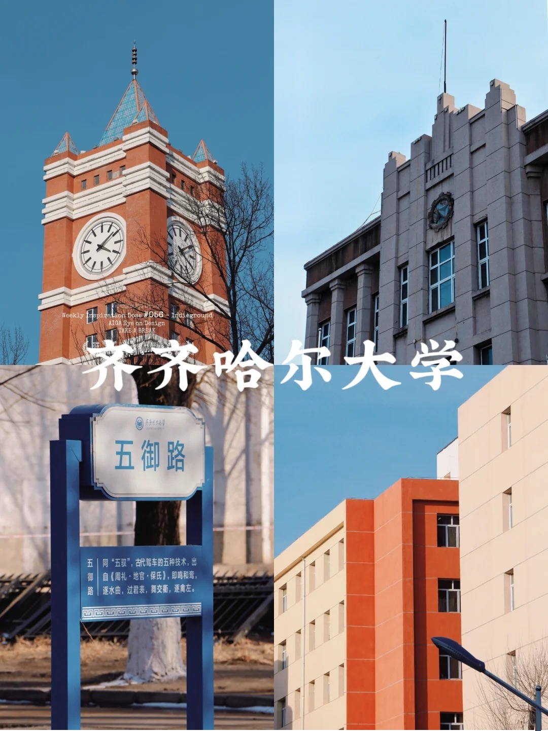—齐齐哈尔大学