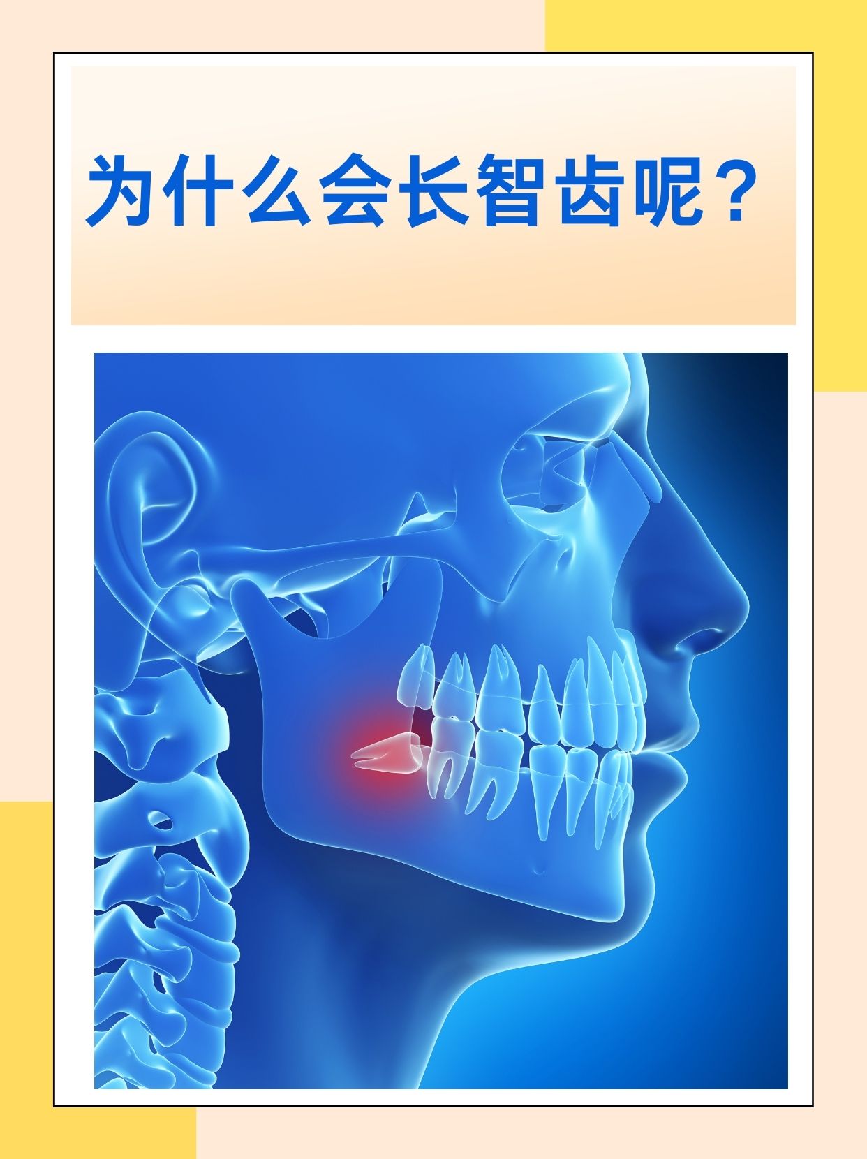 为什么人类有牙齿？