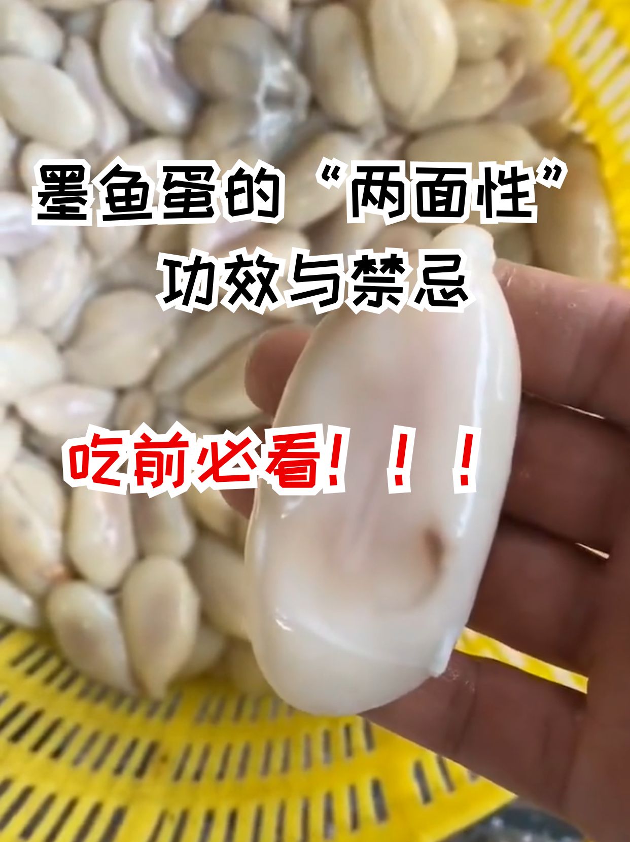 墨鱼蛋,又称乌鱼蛋,墨鱼籽,是雌墨鱼的卵腺,因其营养丰富,味道鲜美而