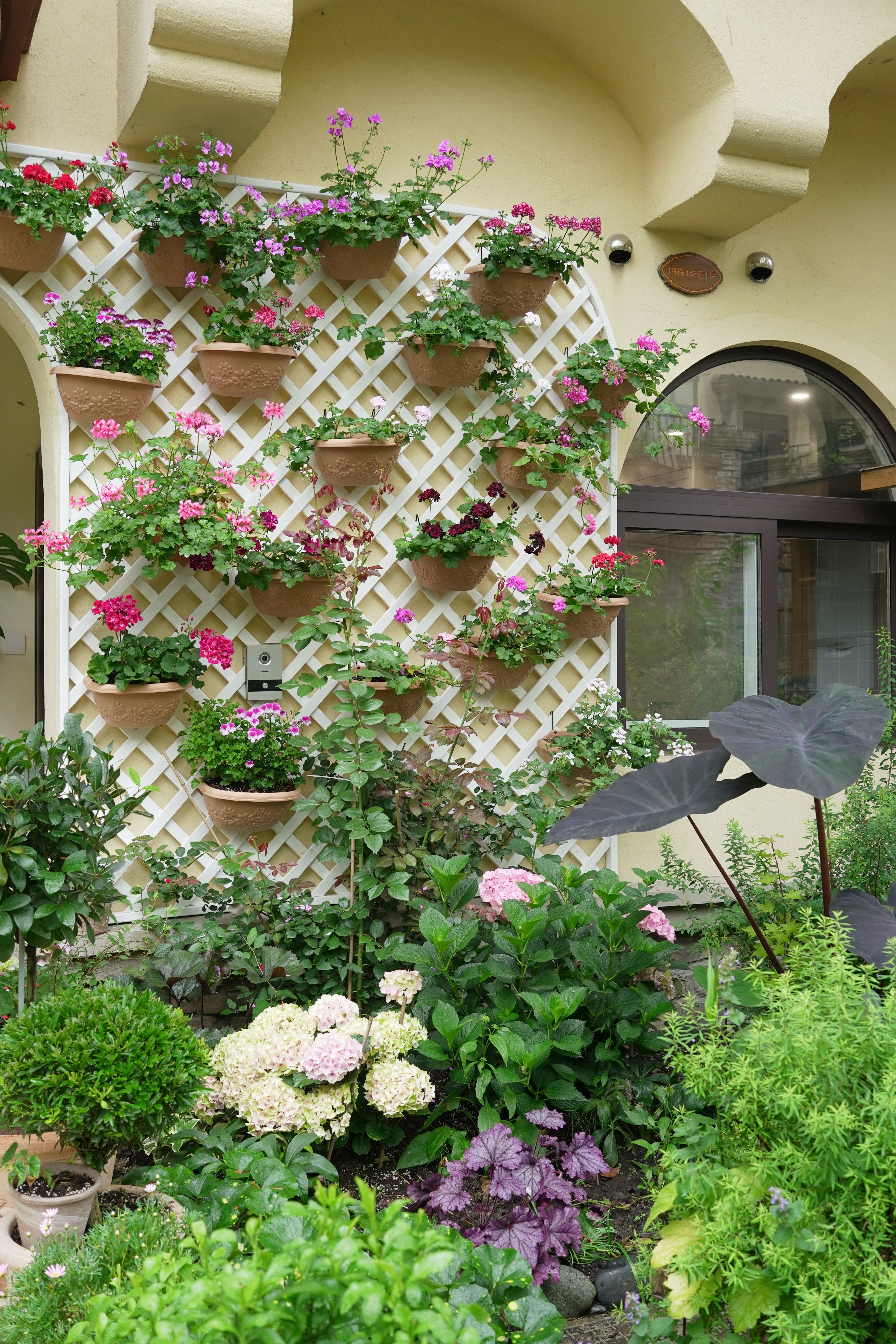 栽种测试了几十种适合新手的绿植, 绿植墙花园围墙设计效果图室内花墙