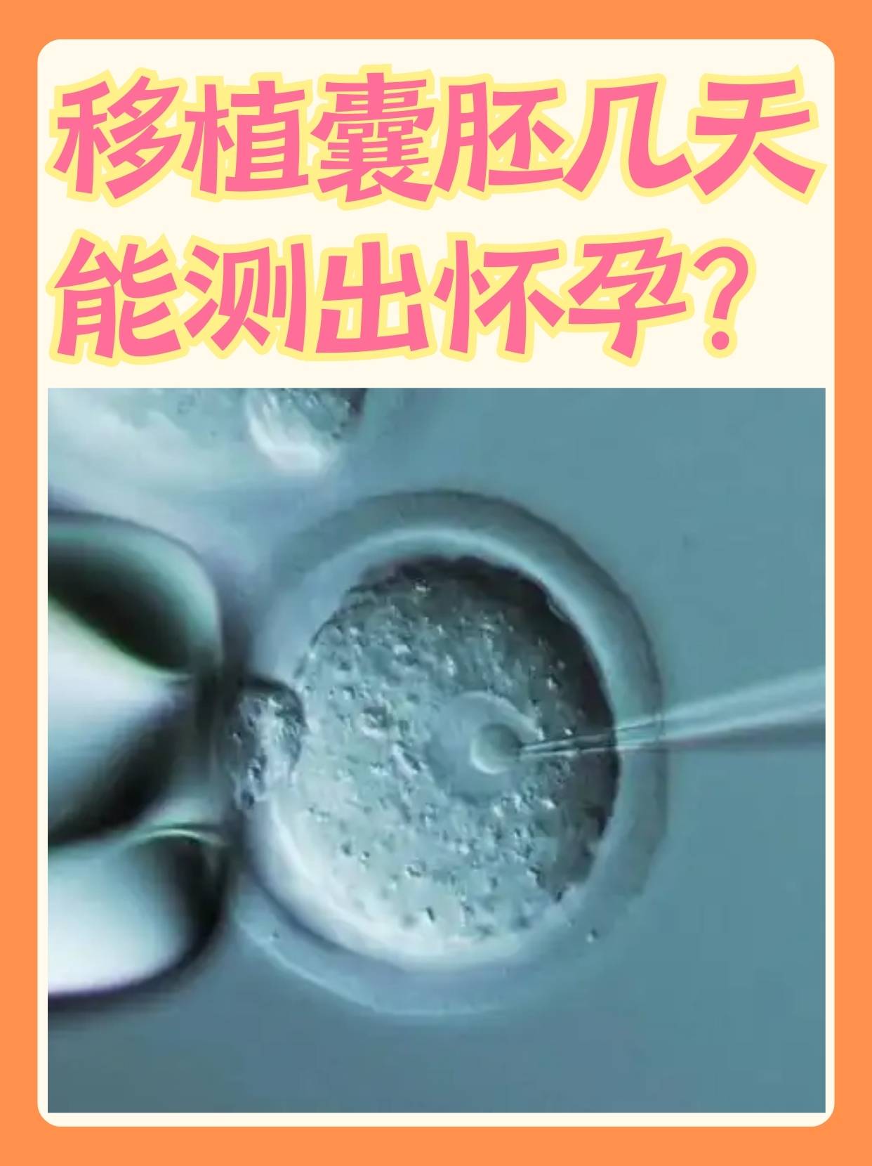 月经多少天适合移植囊胚(一般月经多少天后可以移植)  第2张