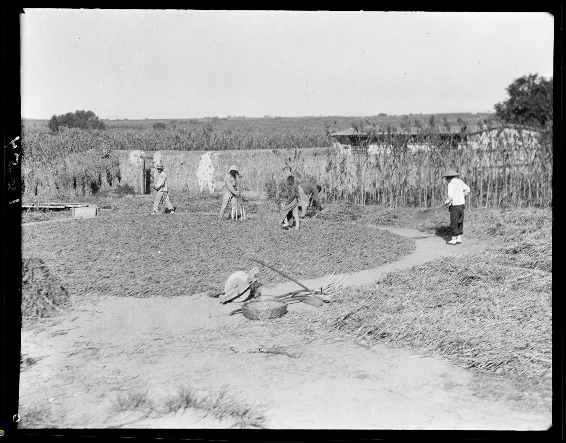 商周时期集体耕作1942年地主家田地淮北 农耕 历史六十年代地质勘探