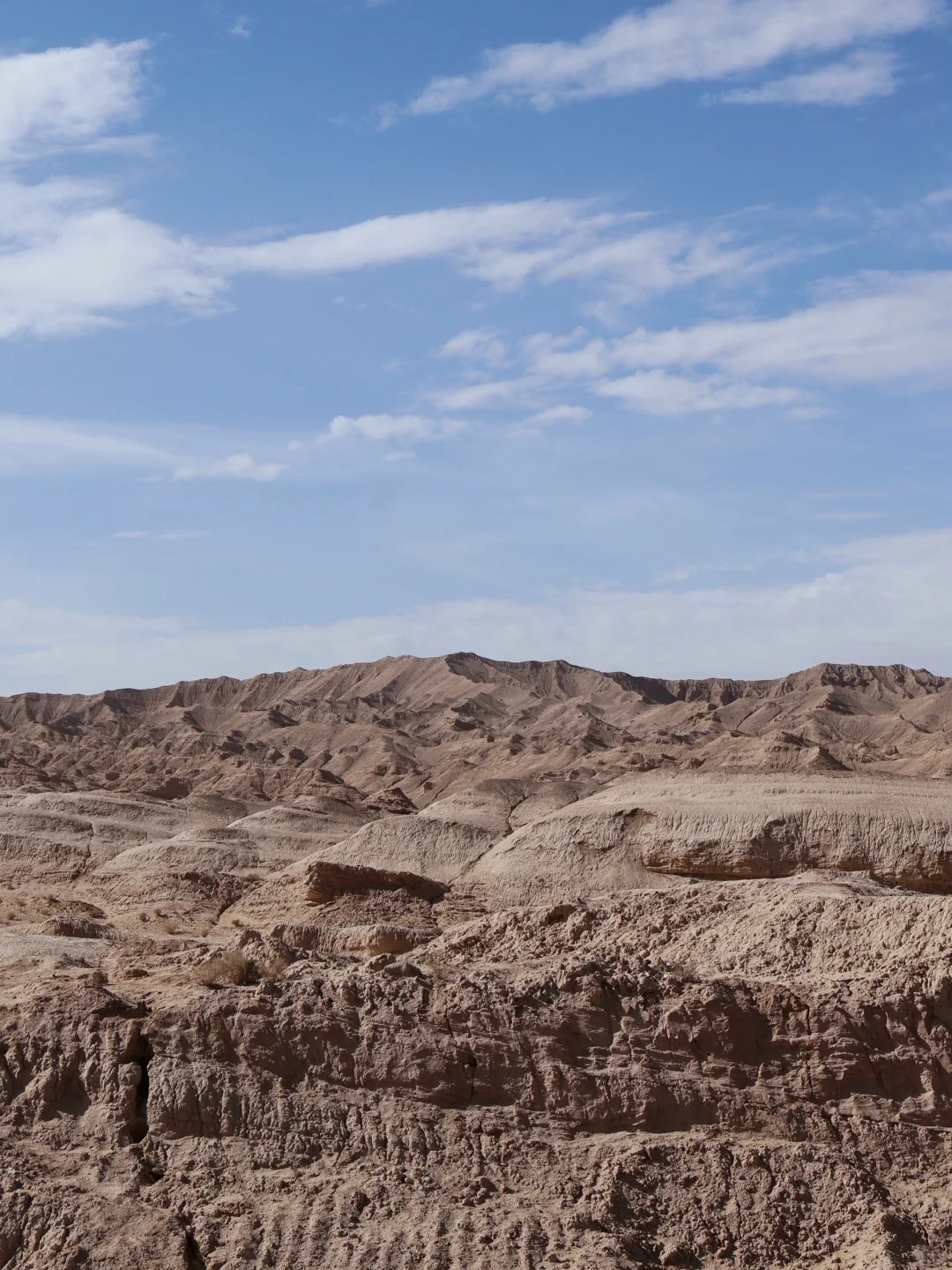 西北最出片的打卡地! u型公路真的太震撼啦!