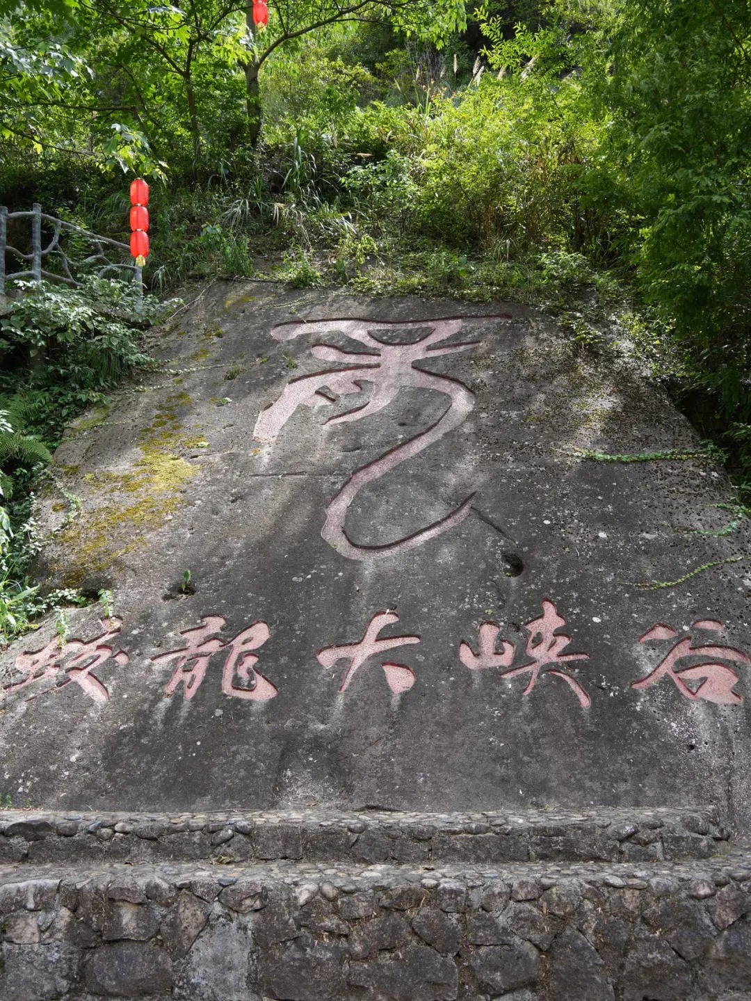闯进自然的治愈怀抱