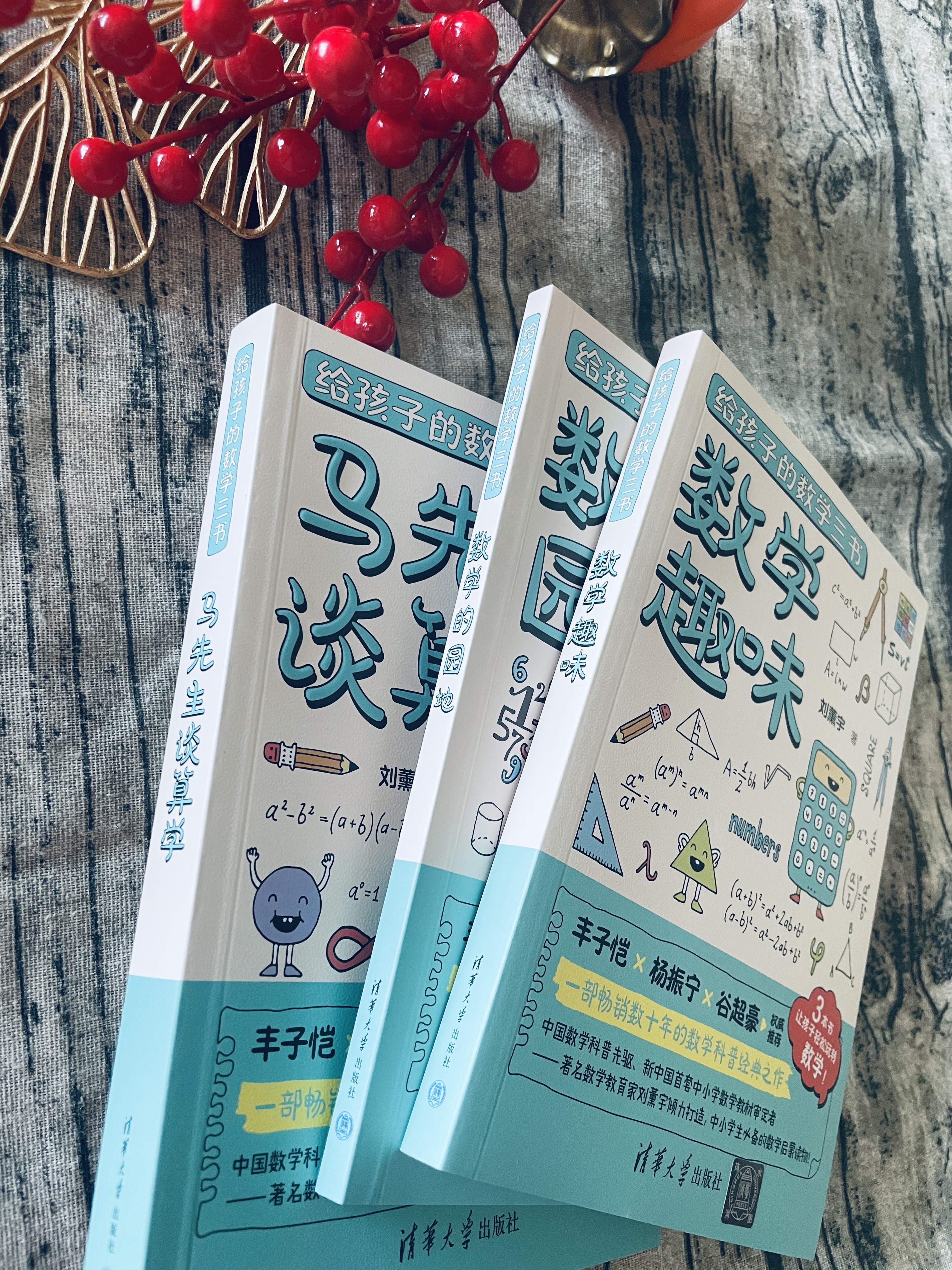 要是能提前读到这本书,也许我数学会很好