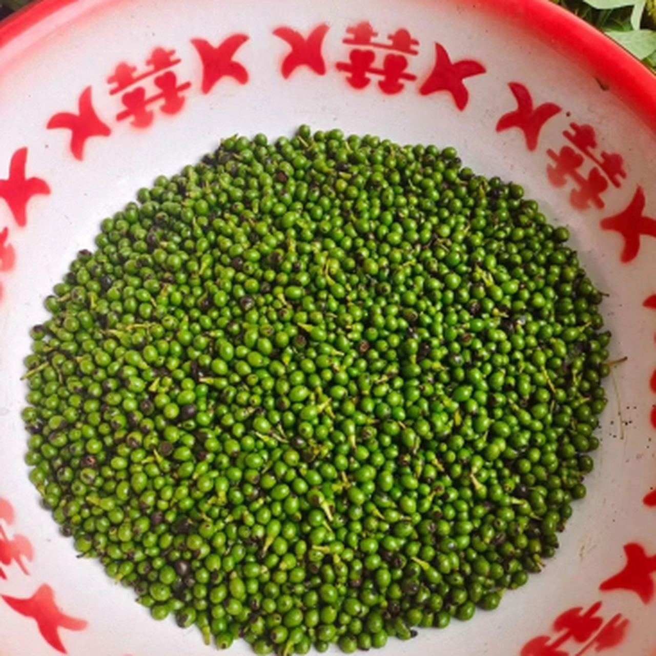 看她爷爷奶奶,路过村庄看到有个大妈在摘这个果子,像绿豆般大的果子