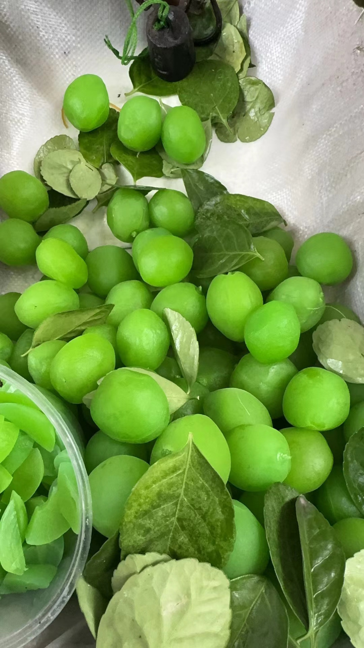 在景区旁边摊贩买的,问了下老板红的叫望梅止渴的梅子,青的叫青梅,吃