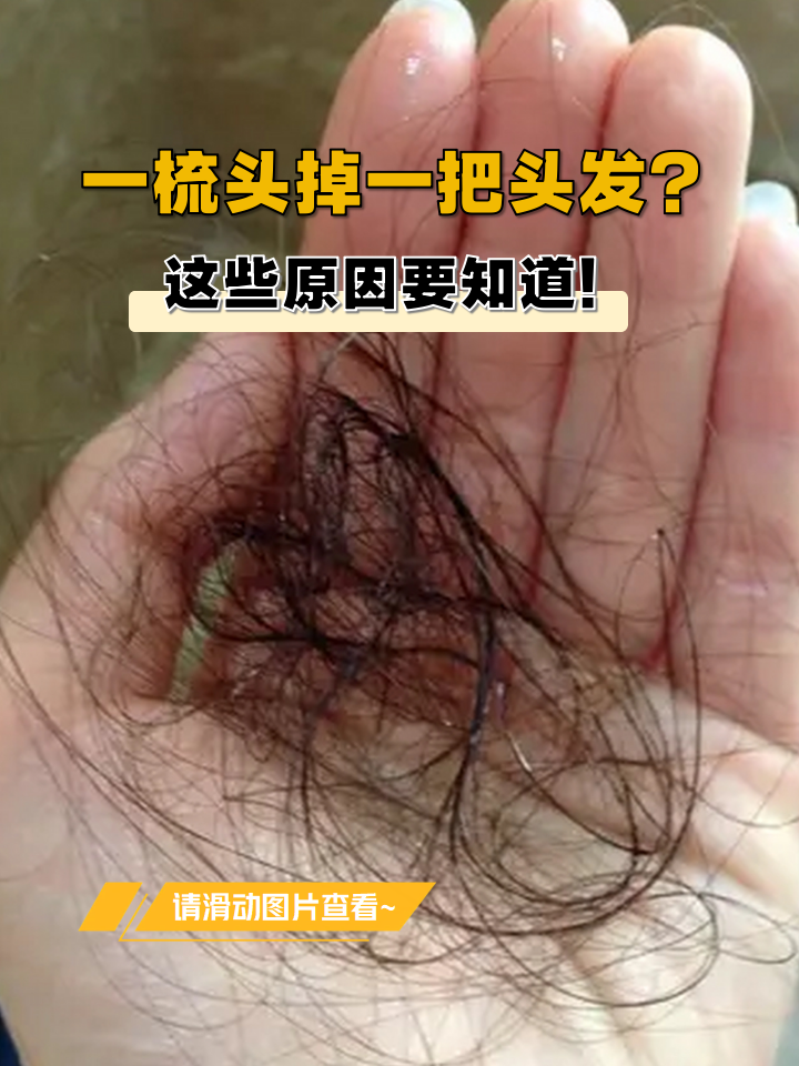 人为什么会掉头发阅读理解答案为什么在线 人为什么会掉头发阅读理解答案为什么在线