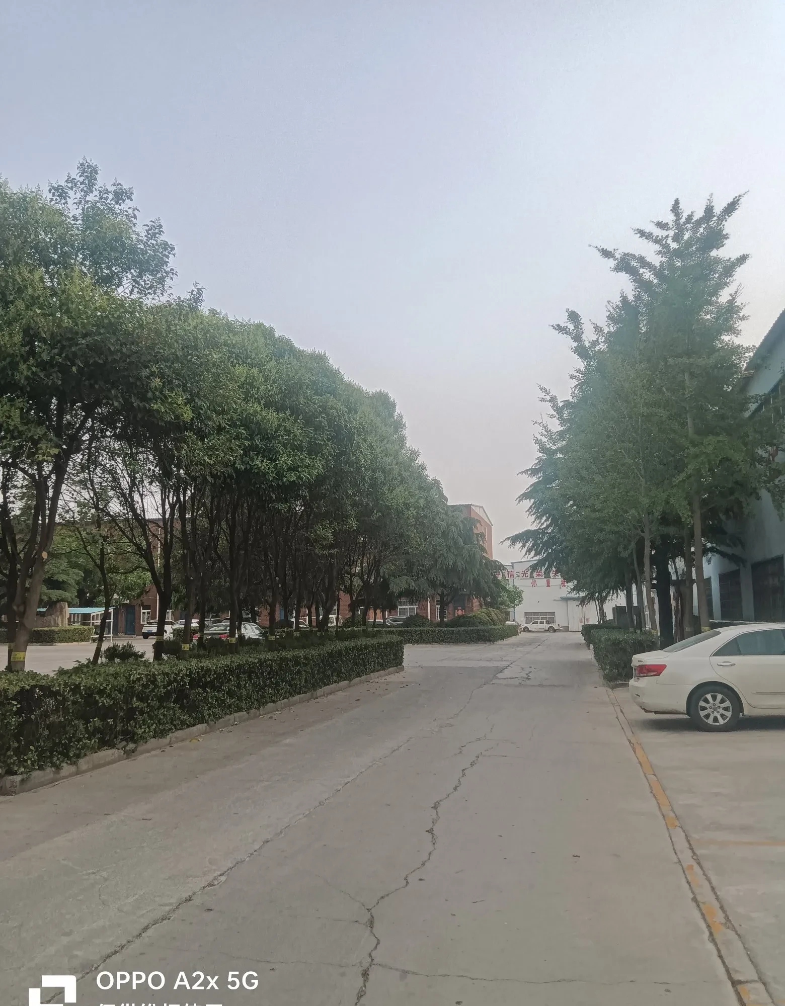 老爷子跟前摆着几把菜叶子边上蹲着个浑身是泥的小娃在搓泥巴团子