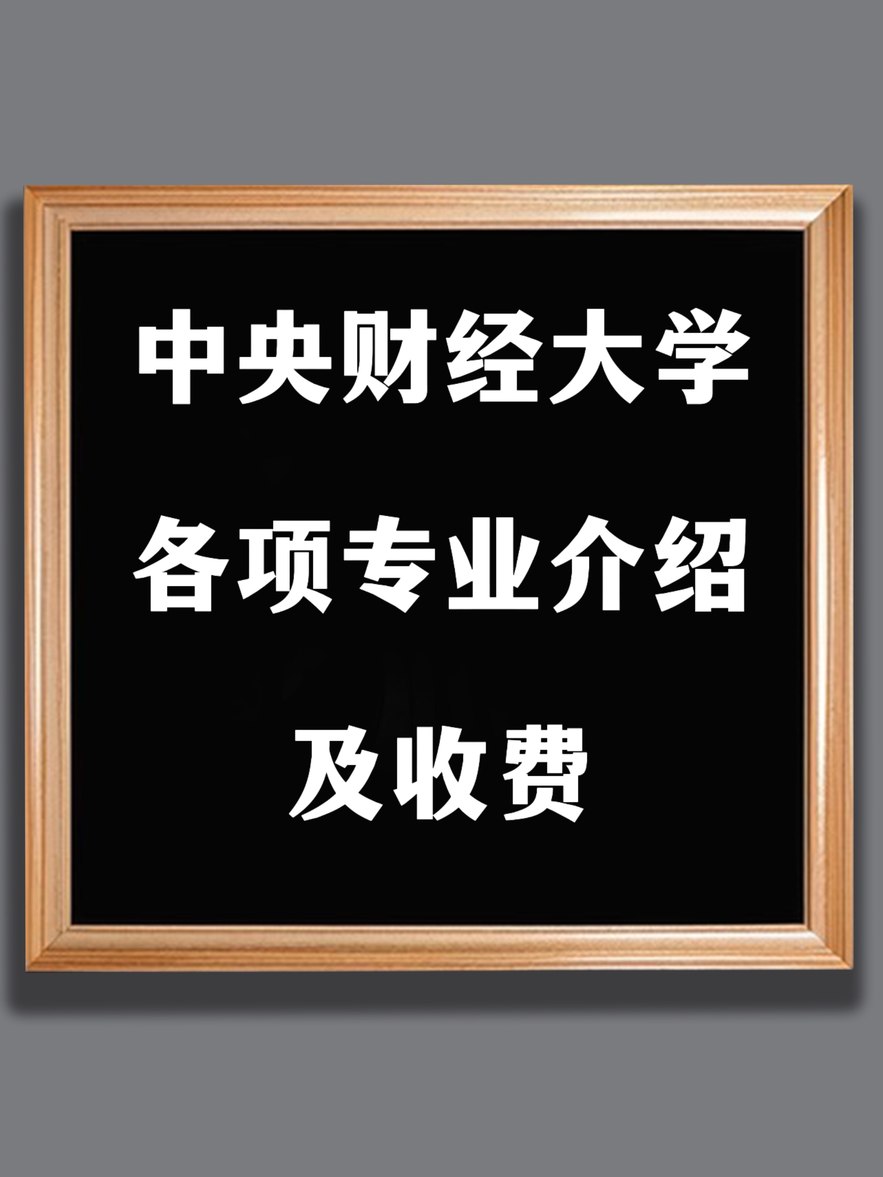 国内财经培训机构(财经培训机构发展前景)