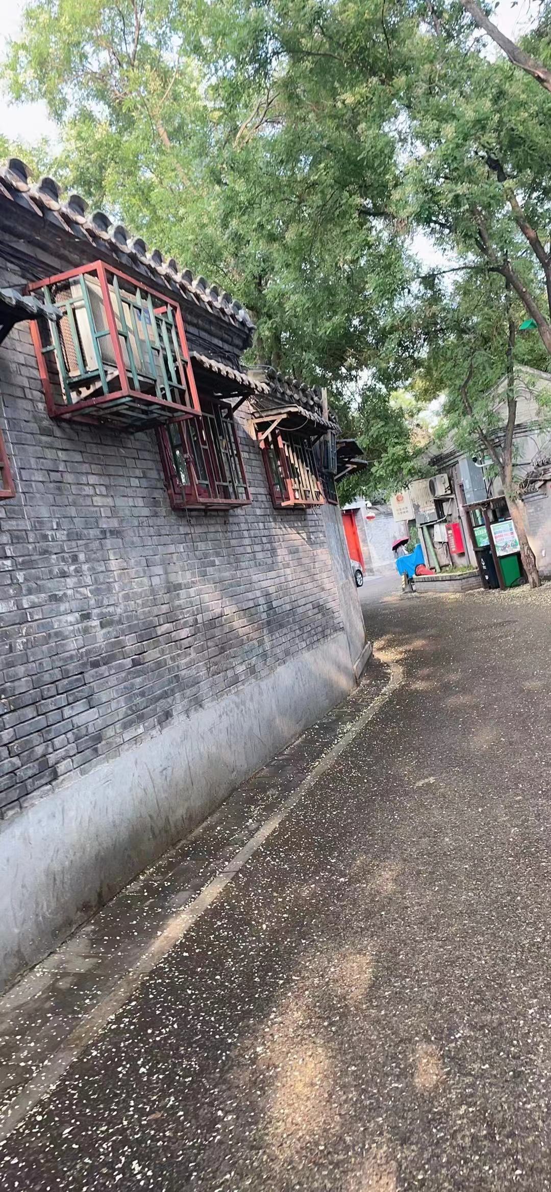 每条大街小巷图片