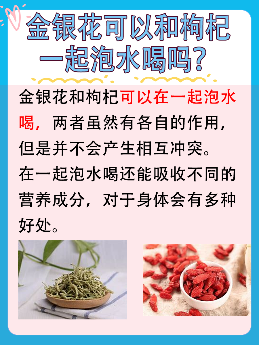 揭秘:金银花与枸杞搭配泡水是否可行?