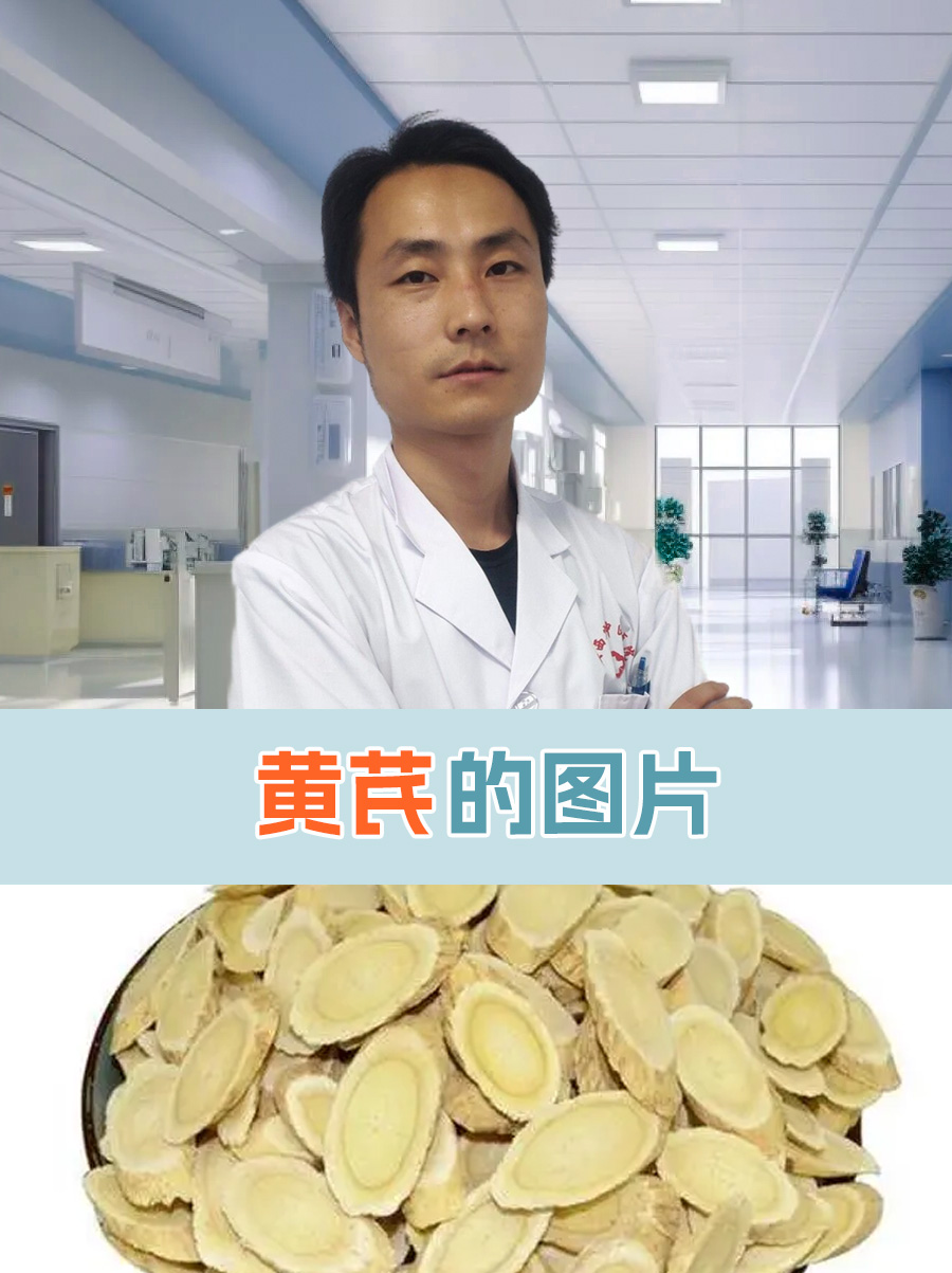 黄芪,又名黄耆,是豆科植物蒙古黄芪或膜荚黄芪的干燥根