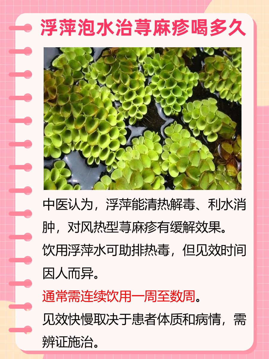 浮萍治荨麻疹的简单方法