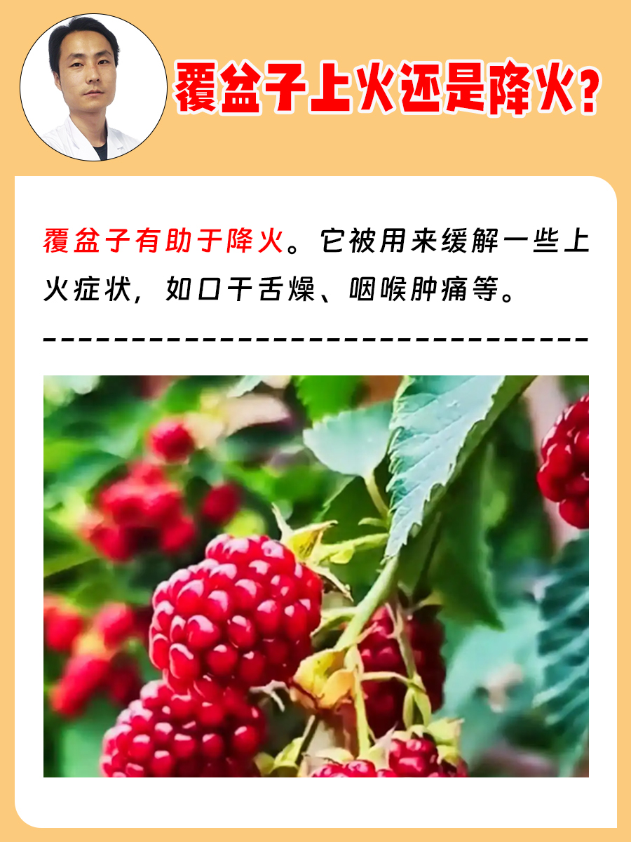 覆盆子,又名山莓,是一种营养丰富的水果,常被用于食疗和草药之中