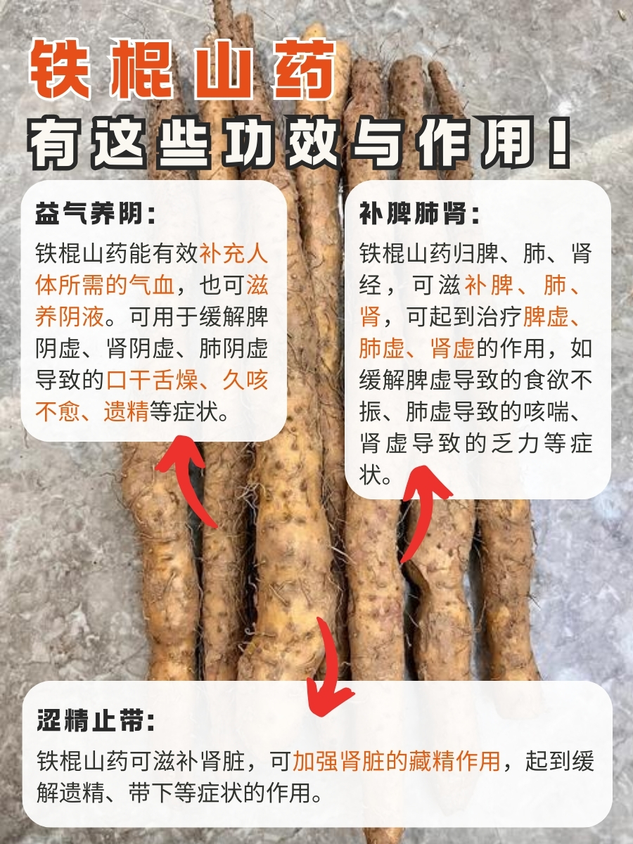 铁棍山药功效多,作用也不可小觑!