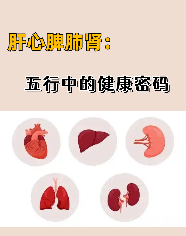 肝心脾肺肾:五行中的健康密码 在中医理论中,肝心脾肺肾五脏与五行有