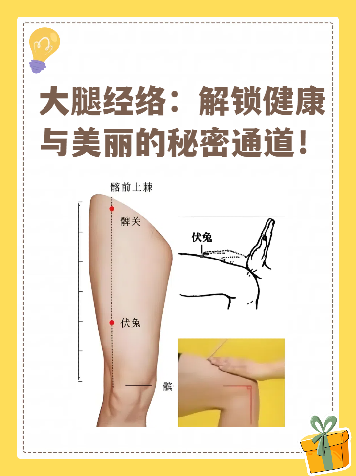 大腿经络:解锁健康与美丽的秘密通道!
