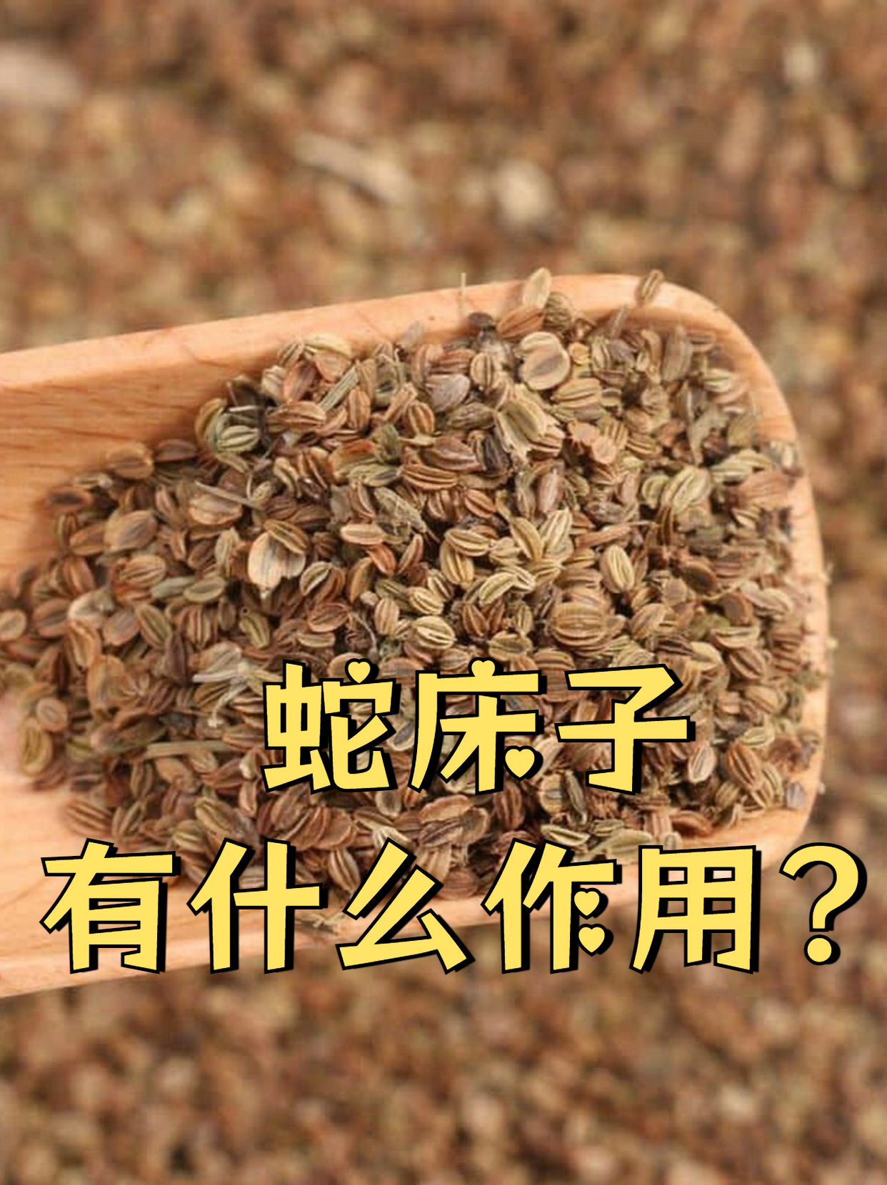 蛇床子有温肾壮阳,燥湿祛风,杀虫止痒等多重功效,能治疗肾虚阳痿,宫