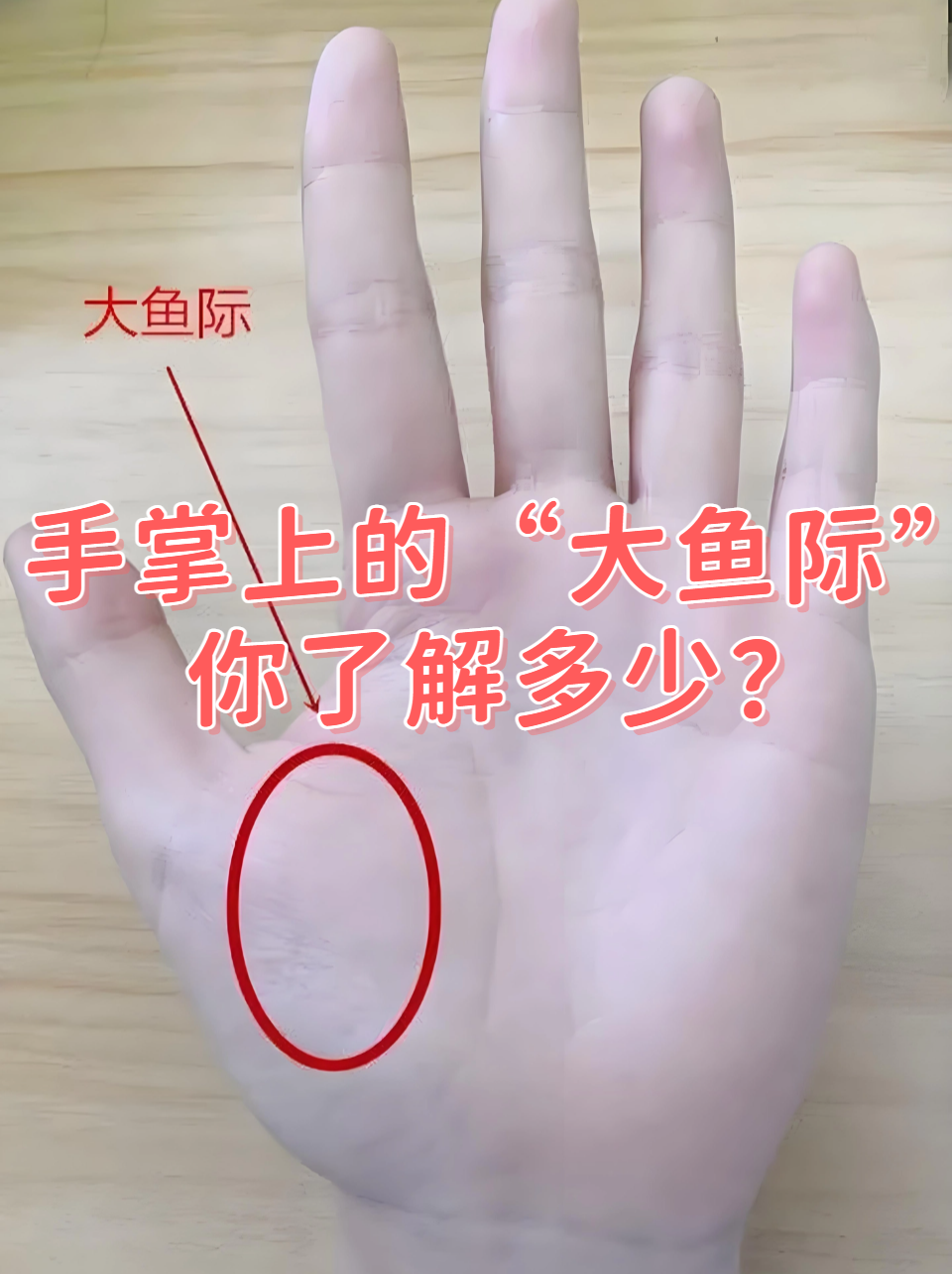 使大鱼际手掌大鱼际手心大鱼际是哪里手掌大鱼际位置图左手大鱼际大